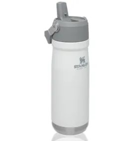 Garrafa Térmica Stanley Flip Straw Polar 651ml