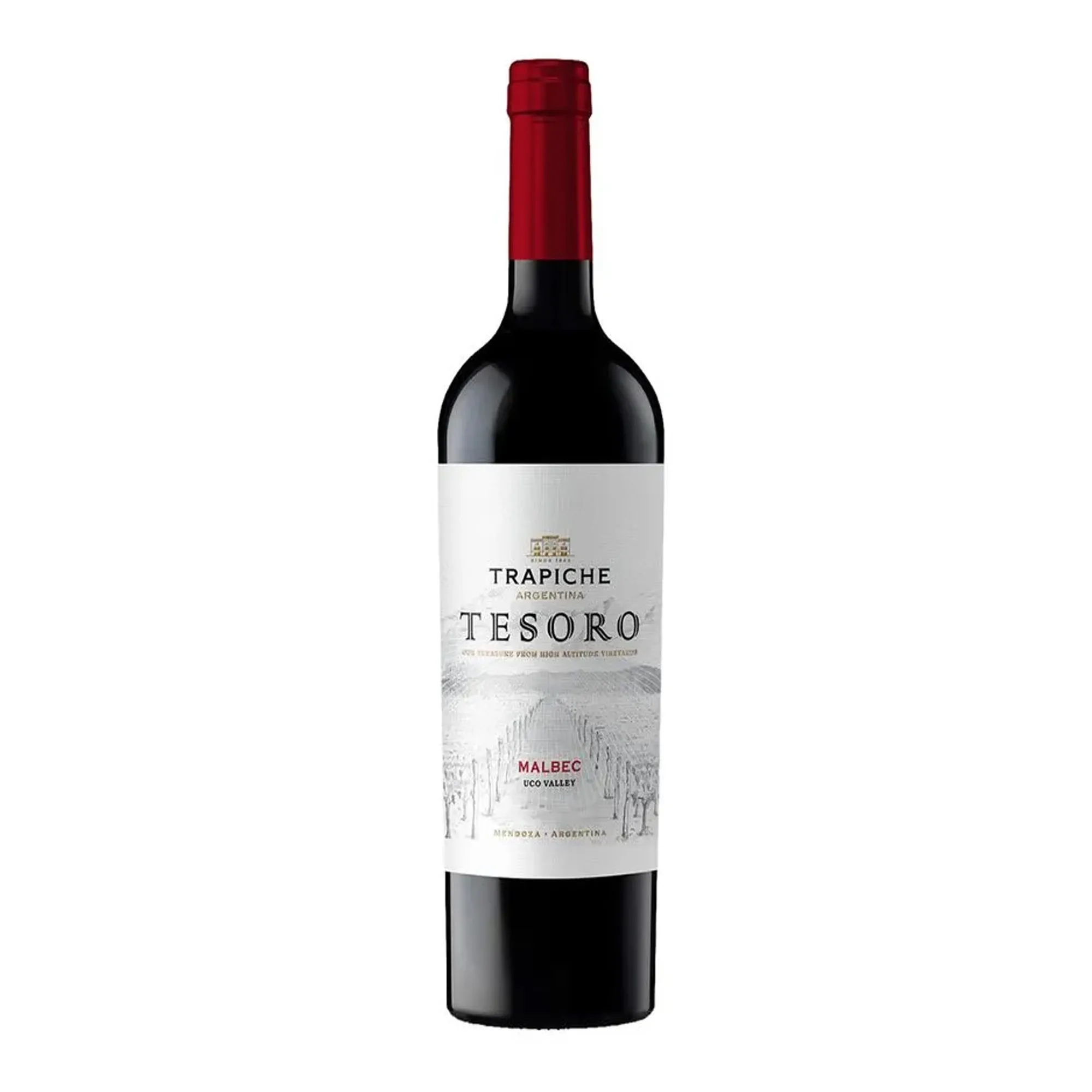 vinho-trapiche-tesoro-malbec-750ml_1_2000.webp